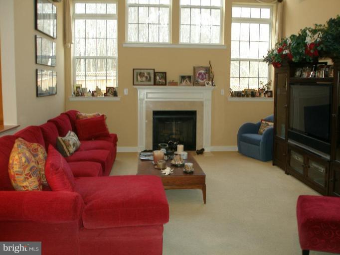 9010 Sumner Grove Drive Laurel, MD 20708 - Photo 11 of 30 Fireplace