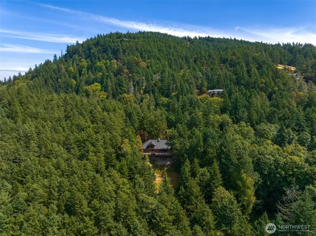 a backyard of a house with lots of green space and garden