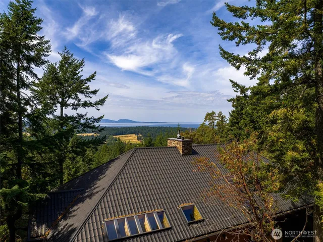 a view of a bunch of trees