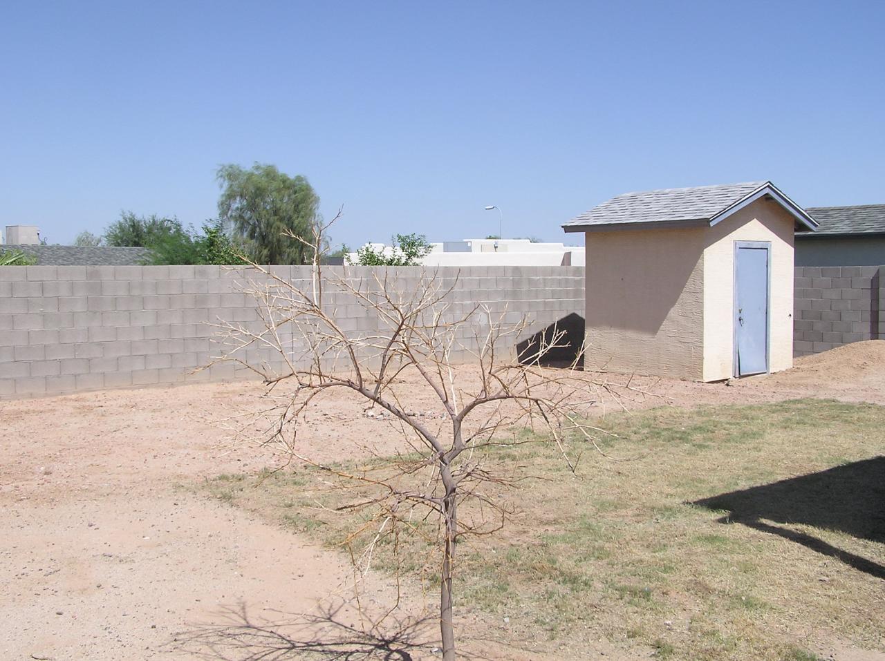 1256 East Vineyard Road Phoenix, AZ 85042 - Photo 8 of 8 Back yard & Storage building