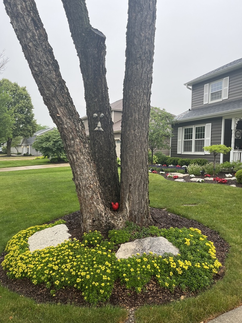 125 Split Oak Road Naperville, IL 60565 - Photo 32 of 42 Gallery Image 32