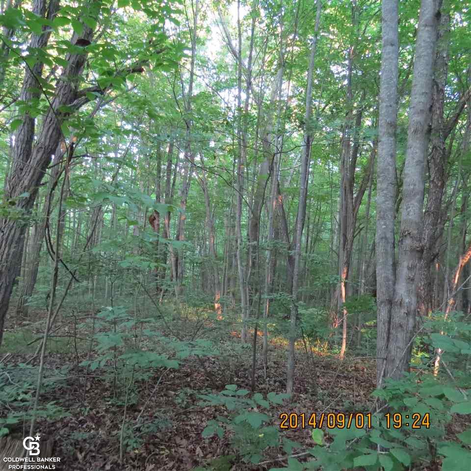 0 East Frith Road Columbus, MI 48063 - Photo 8 of 14