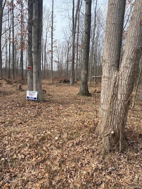 0 Marshall Road Montrose, MI 48457 - Photo 5 of 9