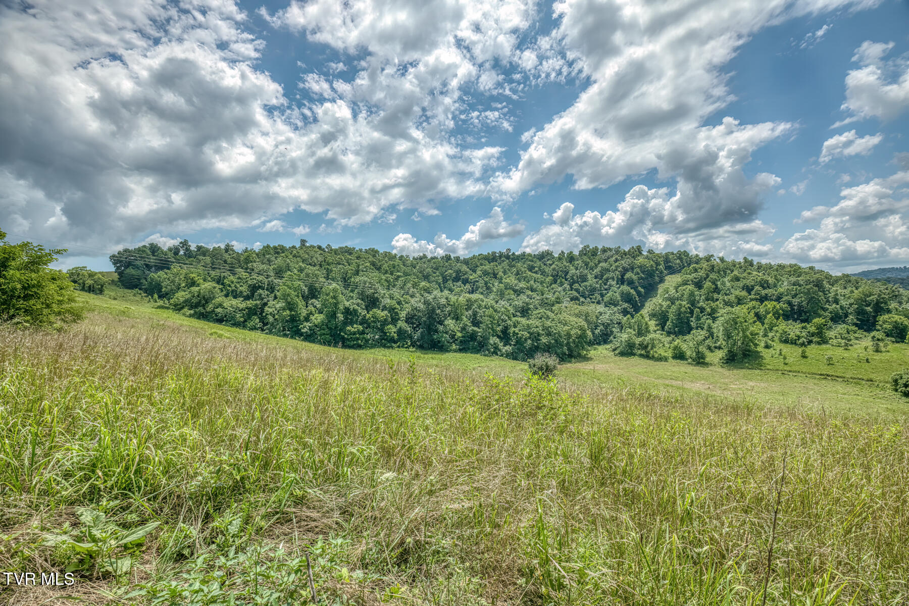 2083 Bundren Mountain Road Tazewell, TN 37879 - Photo 20 of 42 2083 Bundren Mountain Rd-31