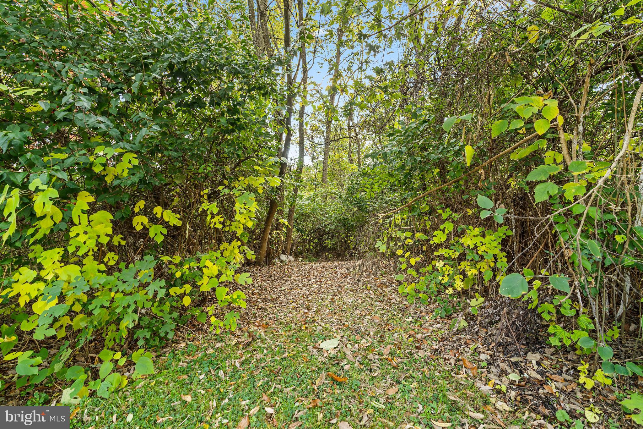 18347 Manor Church Road Boonsboro, MD 21713 - Photo 62 of 68 Path to backside of property