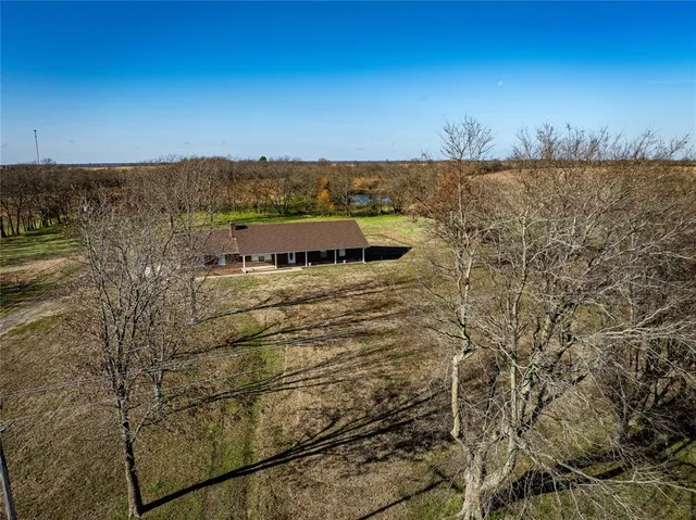 a view of a lake in middle of forest