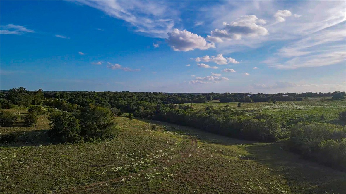Tbd Oil Field Road Brenham, TX 77833 - Photo 29 of 32 Gallery Image 29
