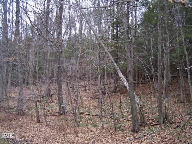 1 Atchison Cove Road Sherman, CT 06784 - Photo 1 of 1 Gallery Image 1