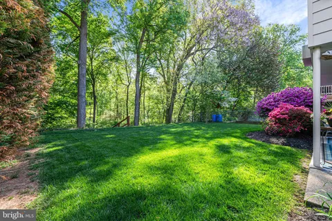 a view of yard with green space