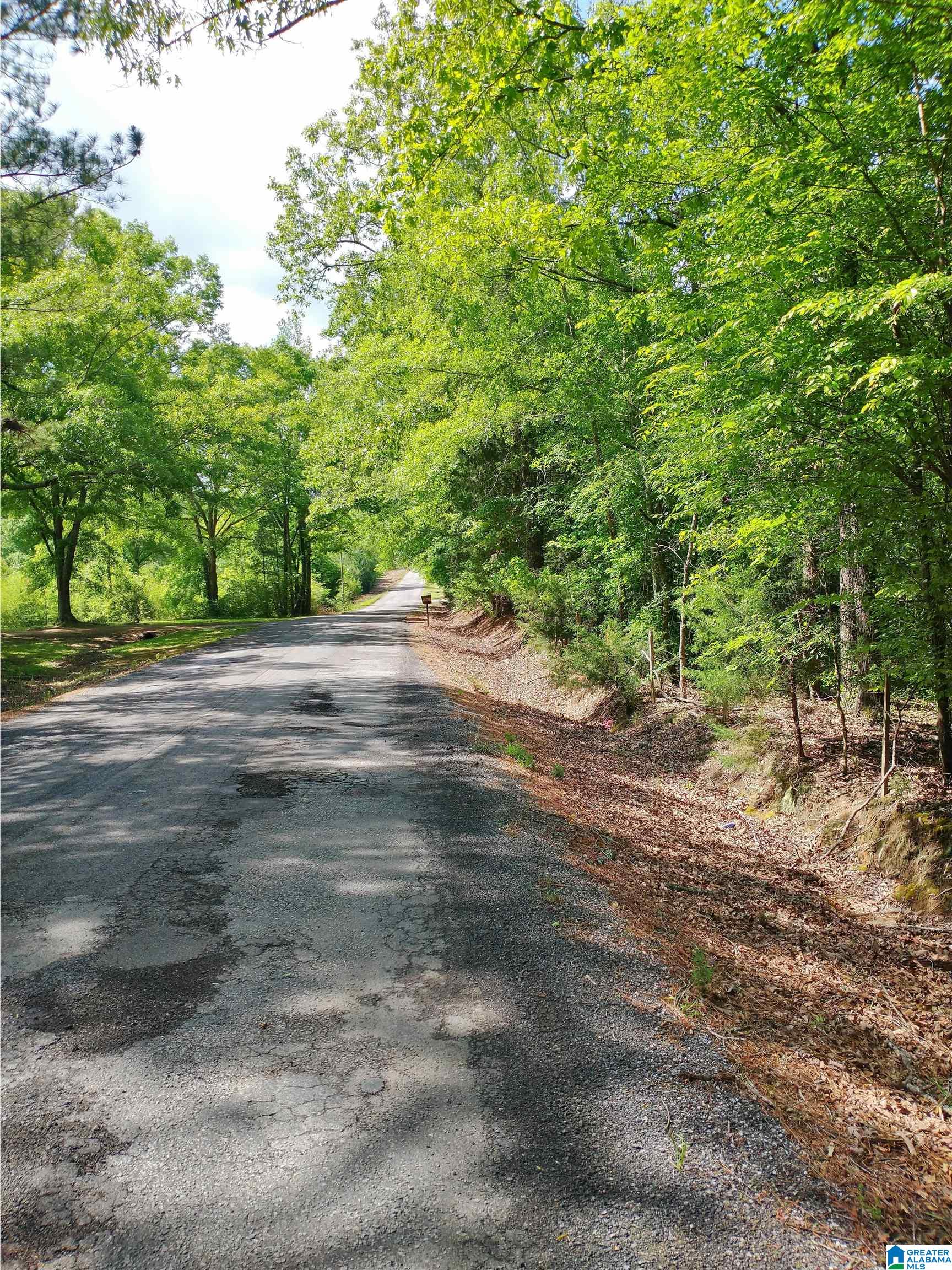 0 Mahaffey Road, Unit RAW LAND Eastaboga, AL 36260 - Photo 1 of 1