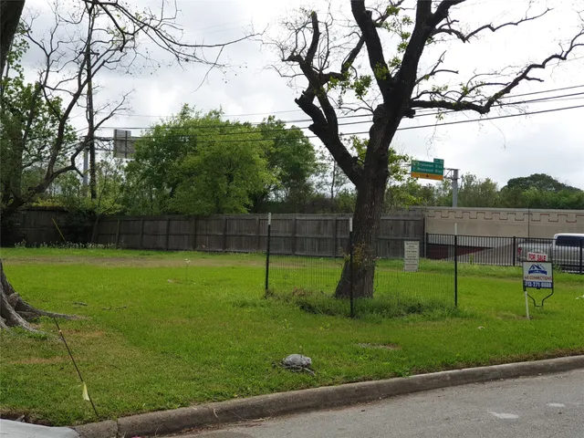 a view of a park with large trees
