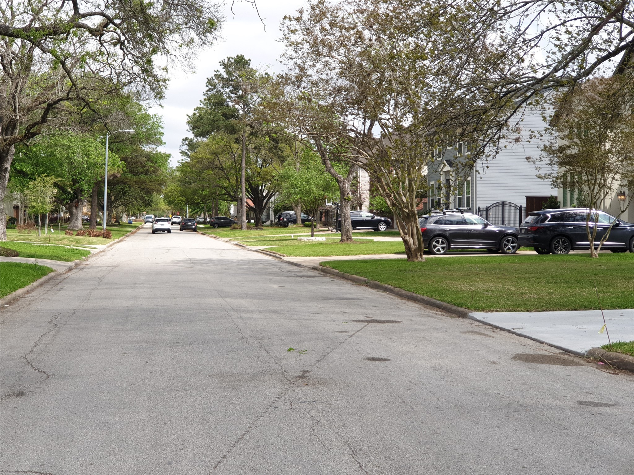 4629 Maple Street Bellaire, TX 77401 - Photo 4 of 6 a view of a park with large trees