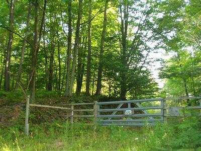3333 East Beyer Road Fountain, MI 49410 - Photo 1 of 1 Primary Photo