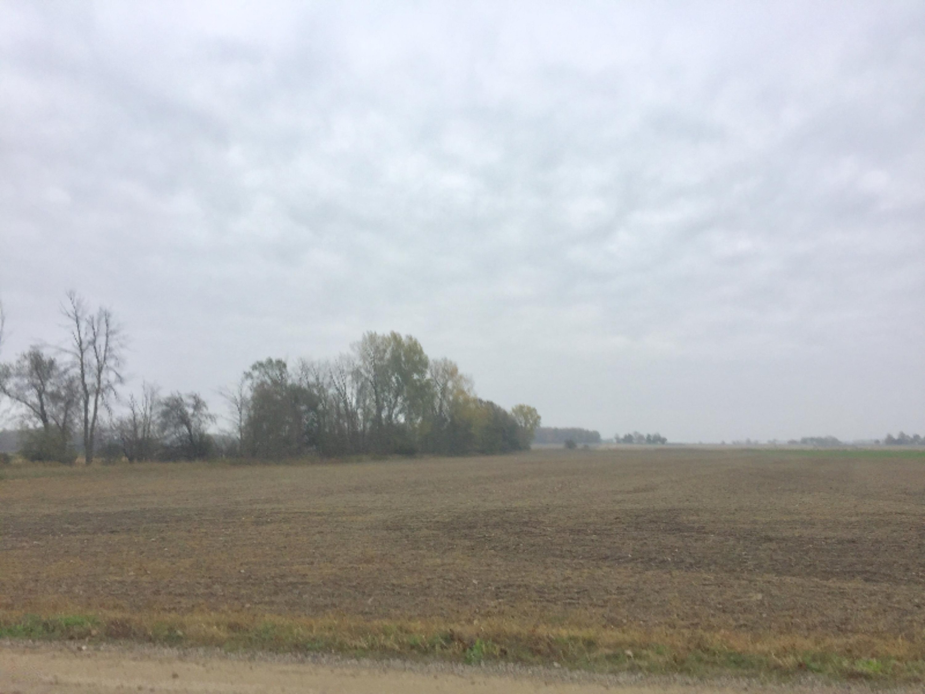 5000 West Fillmore Road Ithaca, MI 48847 - Photo 2 of 2 IMG_3985