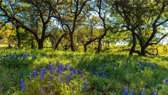 $98,900 | 6422 Garhole View Lane, Bryan, TX 77808