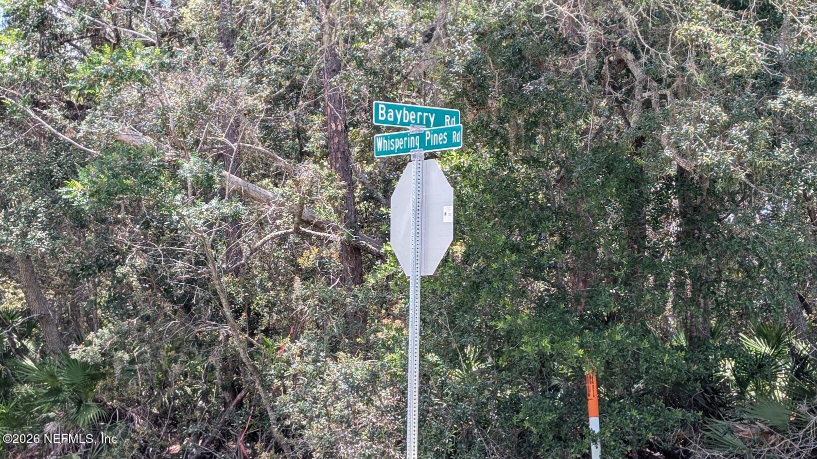 301 Whispering Pines Road Georgetown, FL 32139 - Photo 11 of 12 11