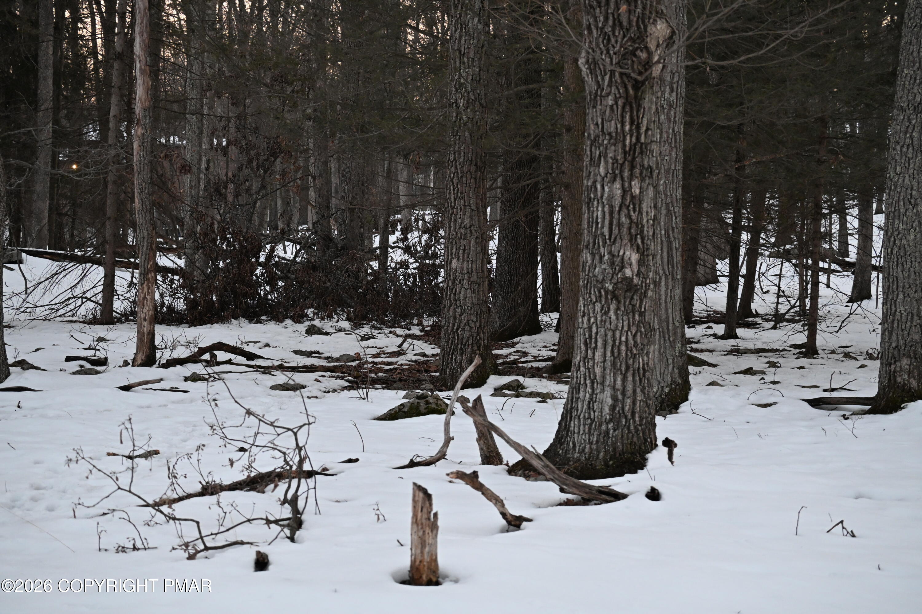 1121 Broken Ski Road Henryville, PA 18332 - Photo 1 of 3 a view of a backyard of the house