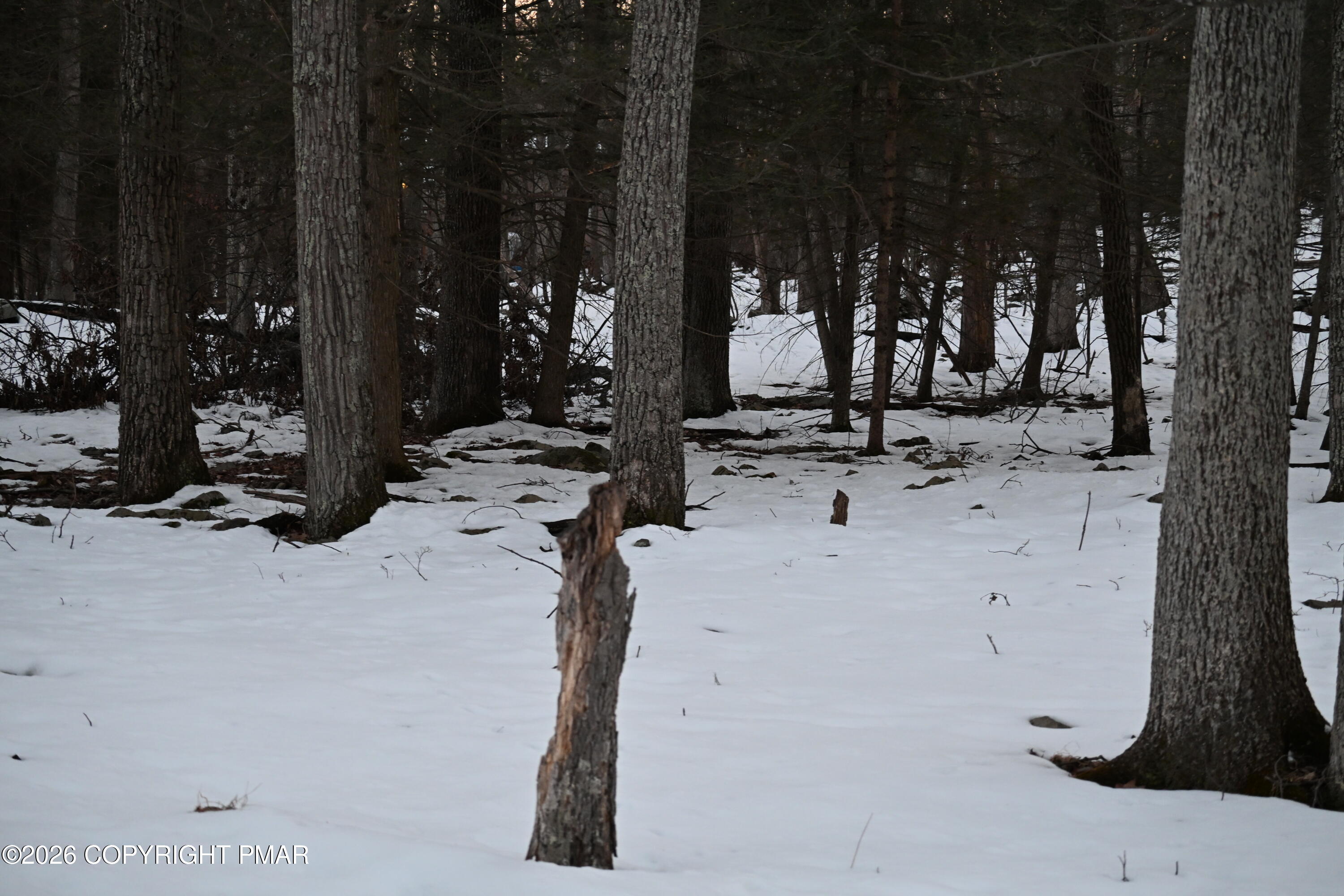 1121 Broken Ski Road Henryville, PA 18332 - Photo 2 of 3 a view of water slide with sitting area