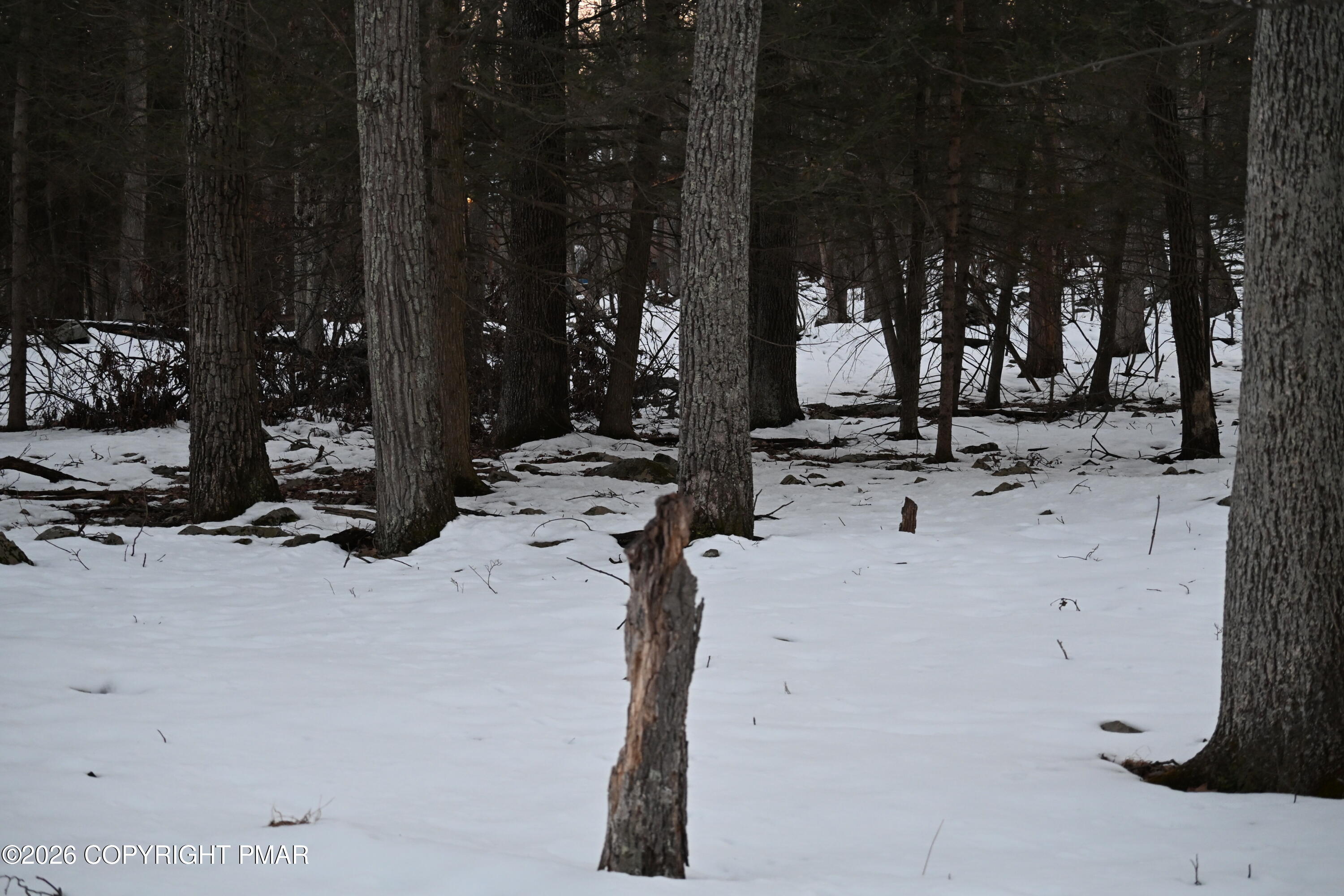 1121 Broken Ski Road Henryville, PA 18332 - Photo 3 of 3 a view of a walk in closet