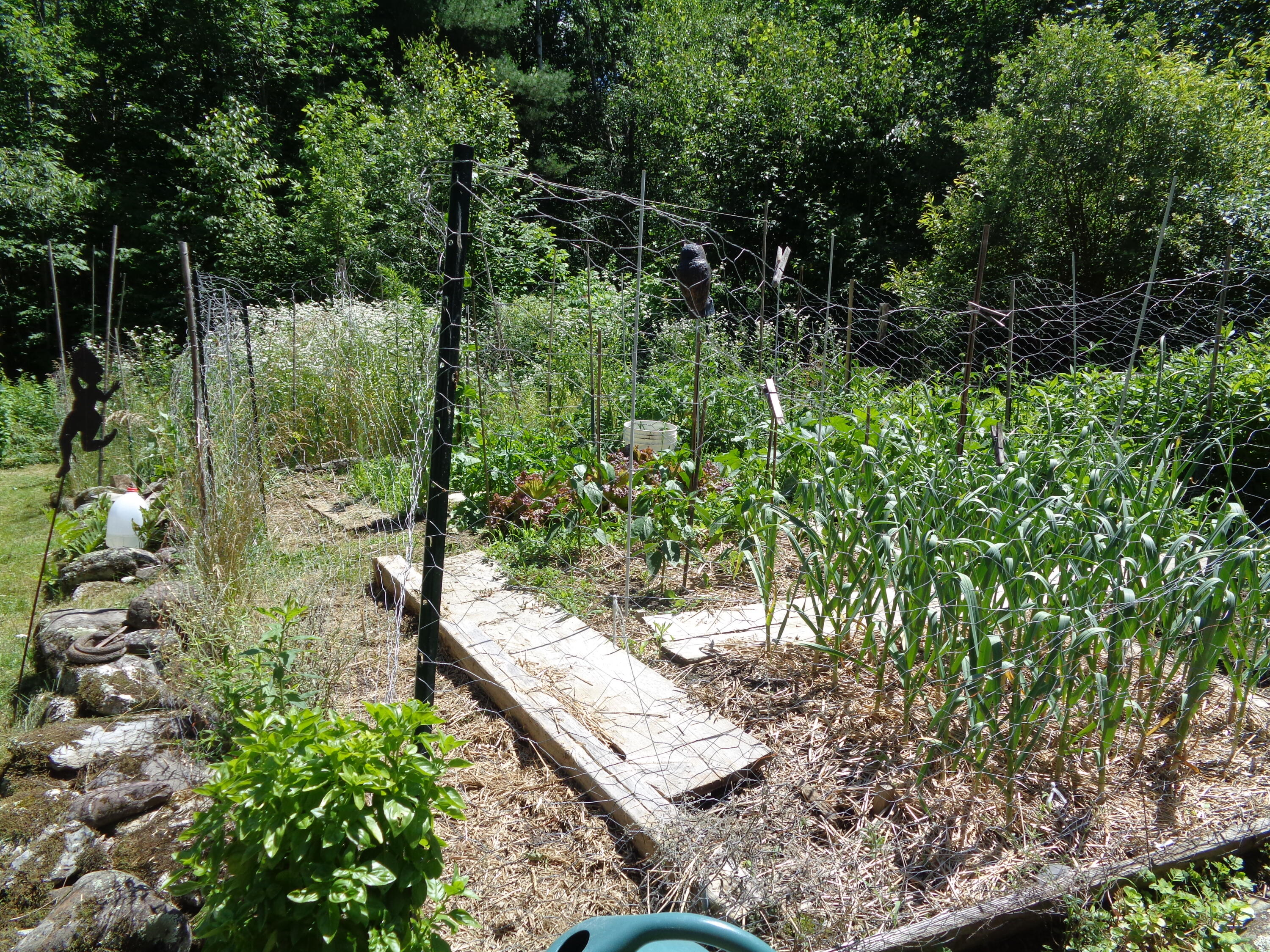 1181 Happytown Road Ellsworth, ME 04605 - Photo 38 of 56 Gardens
