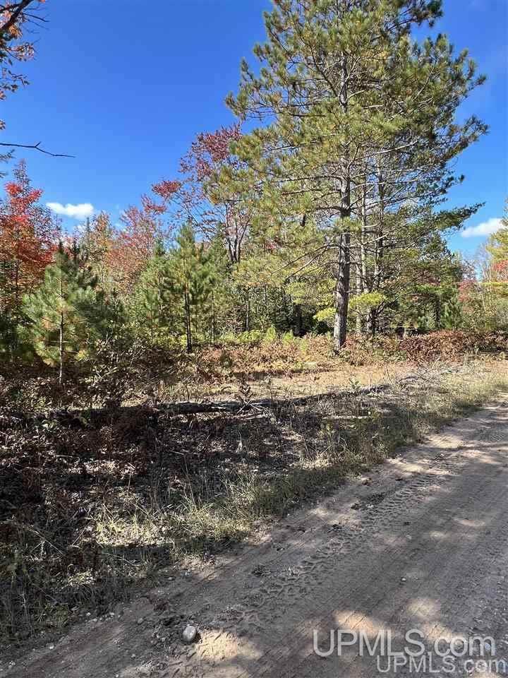 4091 Hiawatha Station Road Manistique, MI 49854 - Photo 22 of 24