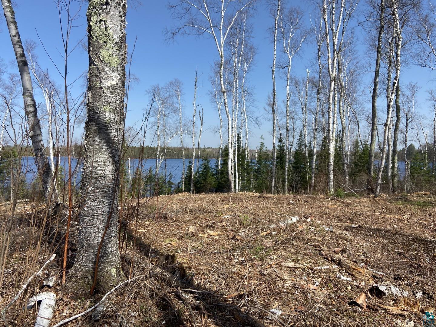 2102-7 Bear Lake Road Duluth, MN 55803 - Photo 2 of 21 View from a buiding site area