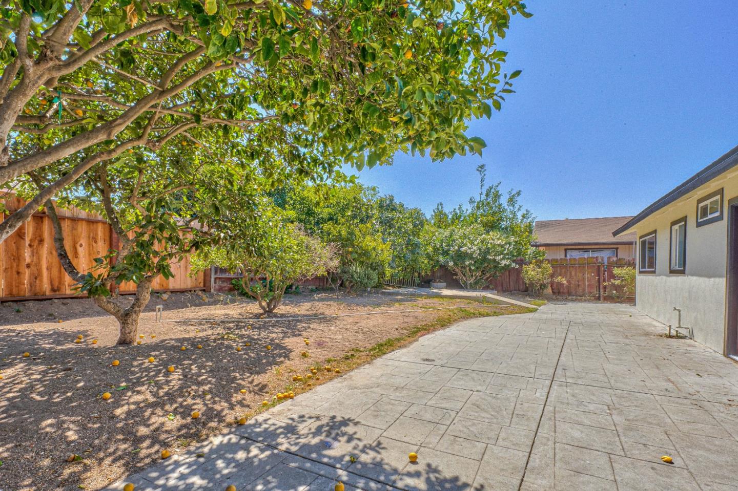 104 Inca Drive Soledad, CA 93960 - Photo 27 of 28 a backyard of a house with lots of green space