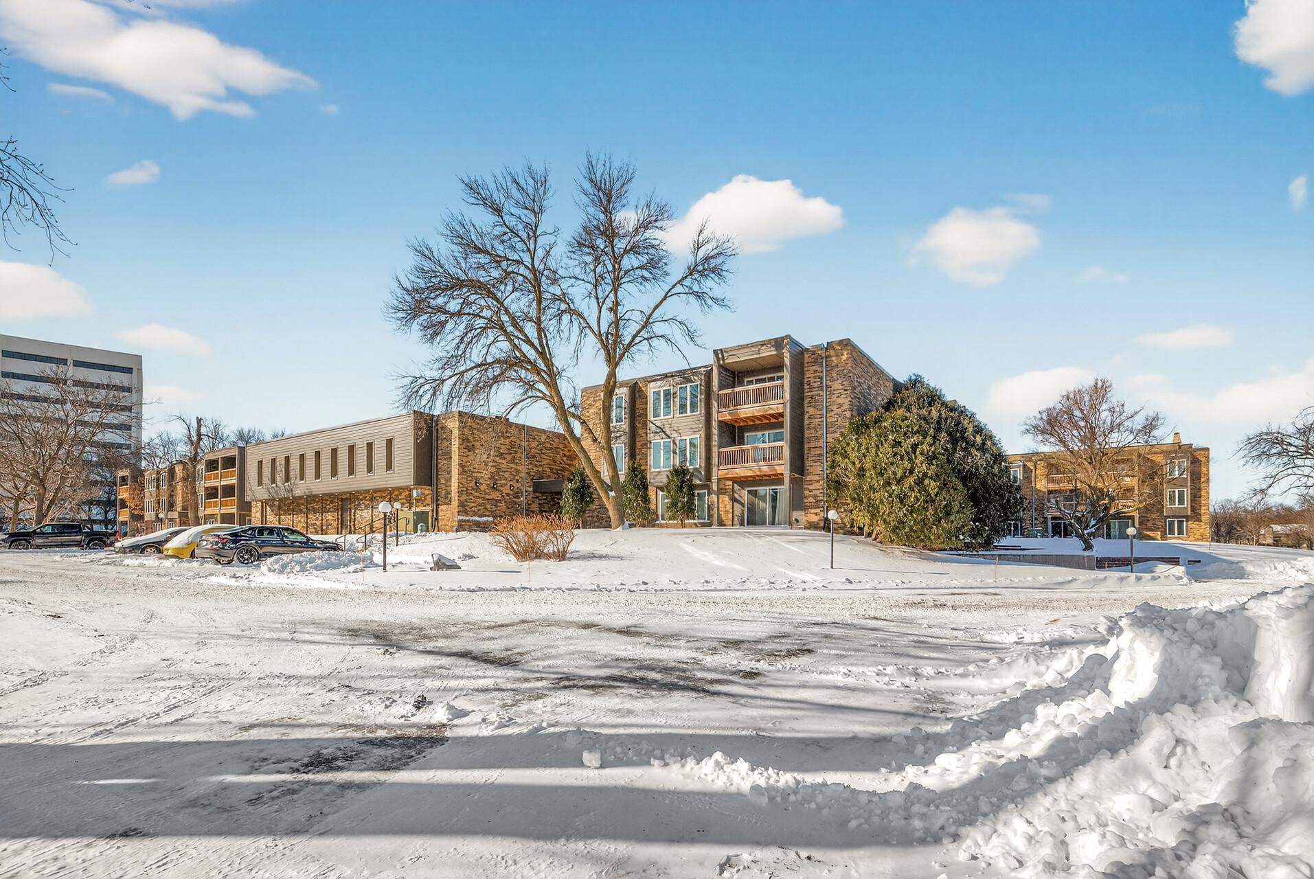 450 Ford Road, Unit 313 St. Louis Park, MN 55426 - Photo 3 of 29