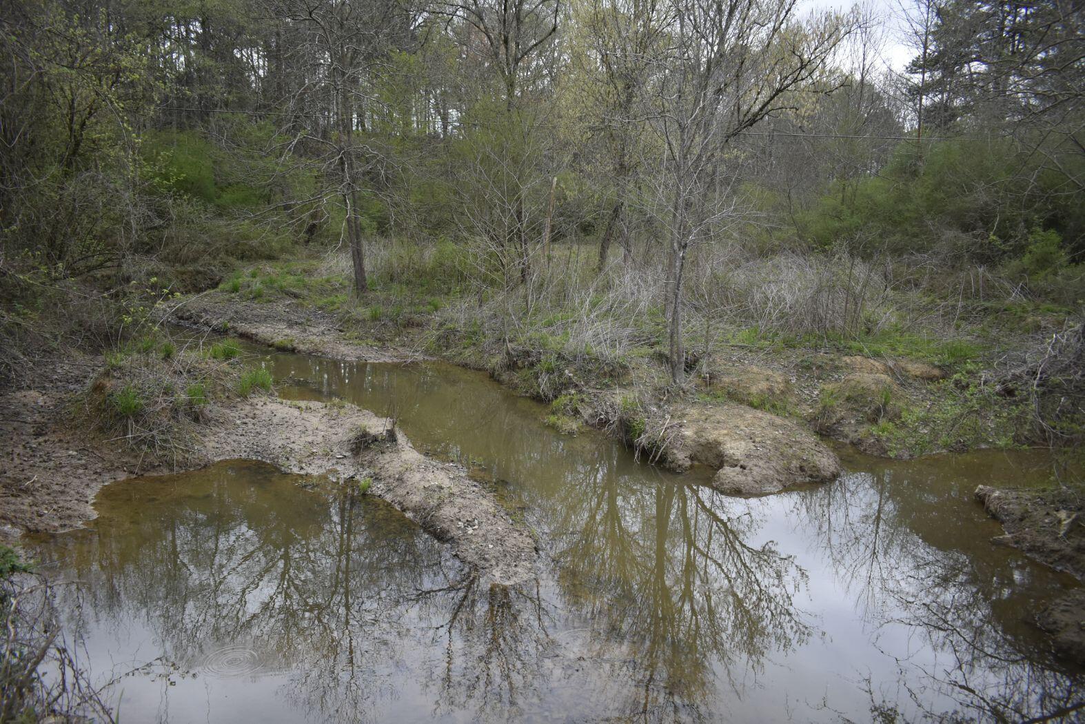 0 East Broomtown Road LaFayette, GA 30728 - Photo 12 of 51 _DSC0286