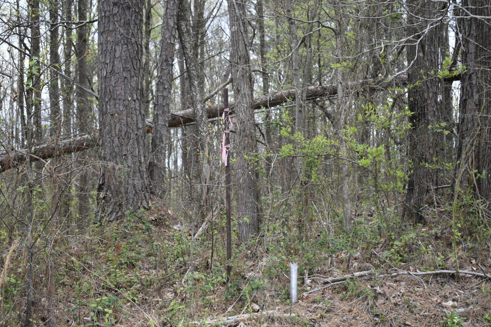 0 East Broomtown Road LaFayette, GA 30728 - Photo 17 of 51 _DSC0290