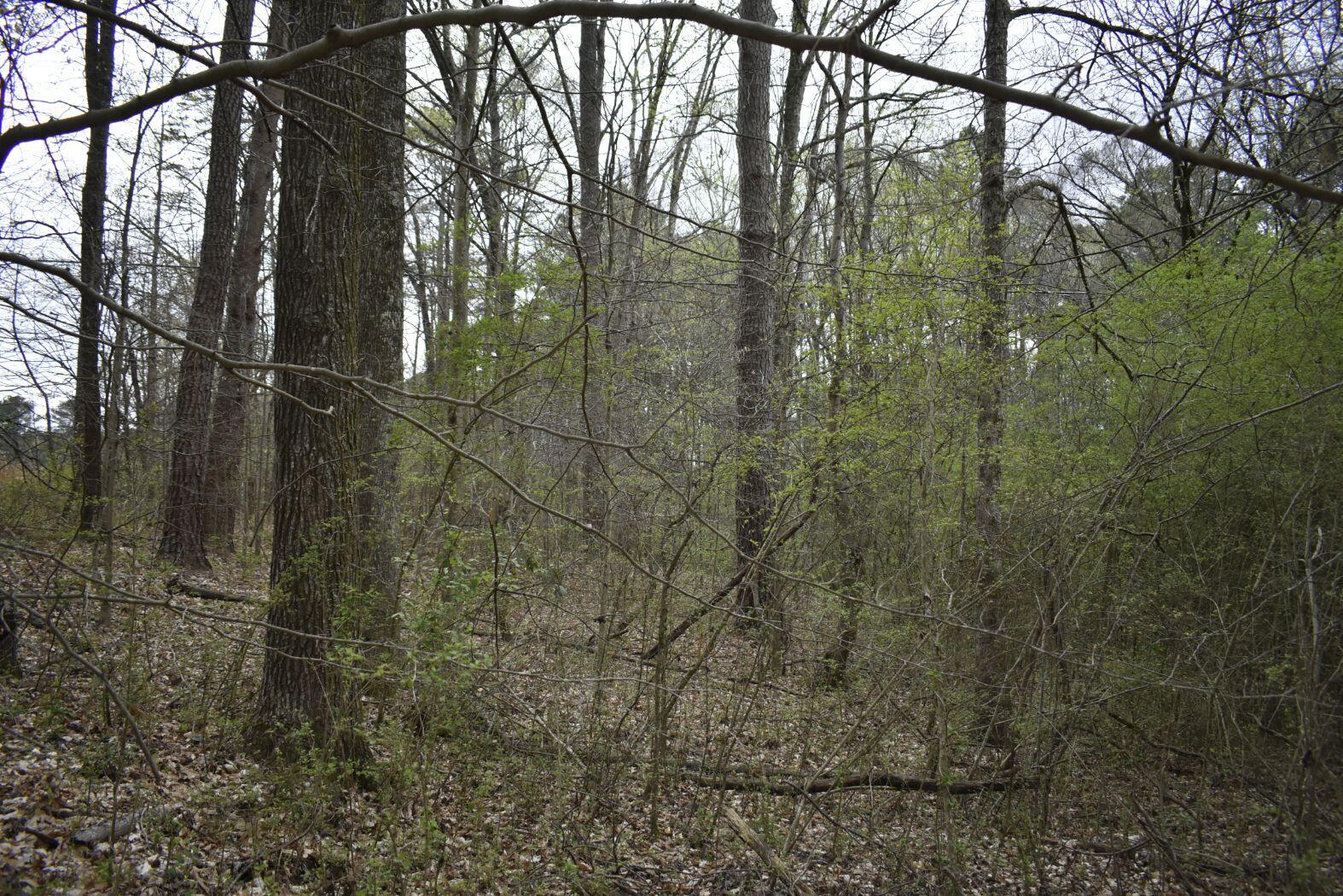0 East Broomtown Road LaFayette, GA 30728 - Photo 23 of 51 _DSC0297