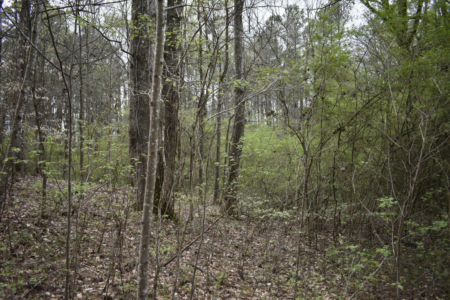 0 East Broomtown Road LaFayette, GA 30728 - Photo 26 of 51 _DSC0300