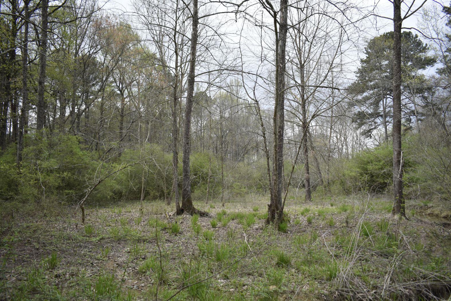 0 East Broomtown Road LaFayette, GA 30728 - Photo 33 of 51 _DSC0308