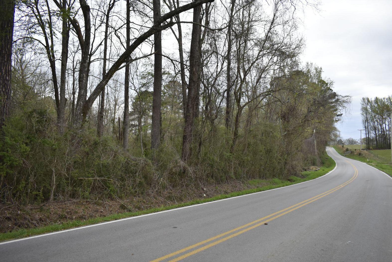 0 East Broomtown Road LaFayette, GA 30728 - Photo 10 of 51 _DSC0284