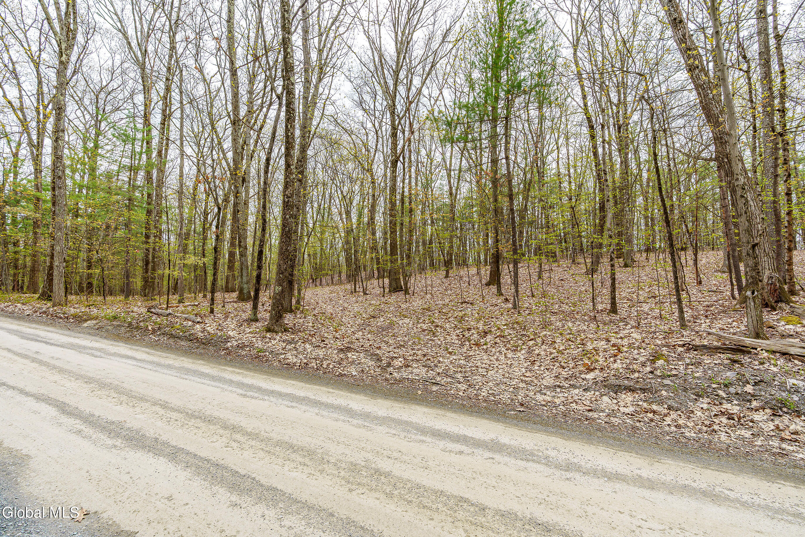 83 Maschodack Road Nassau, NY 12123 - Photo 8 of 26 003-Mashodack-Rd-Nassau-NY-12123