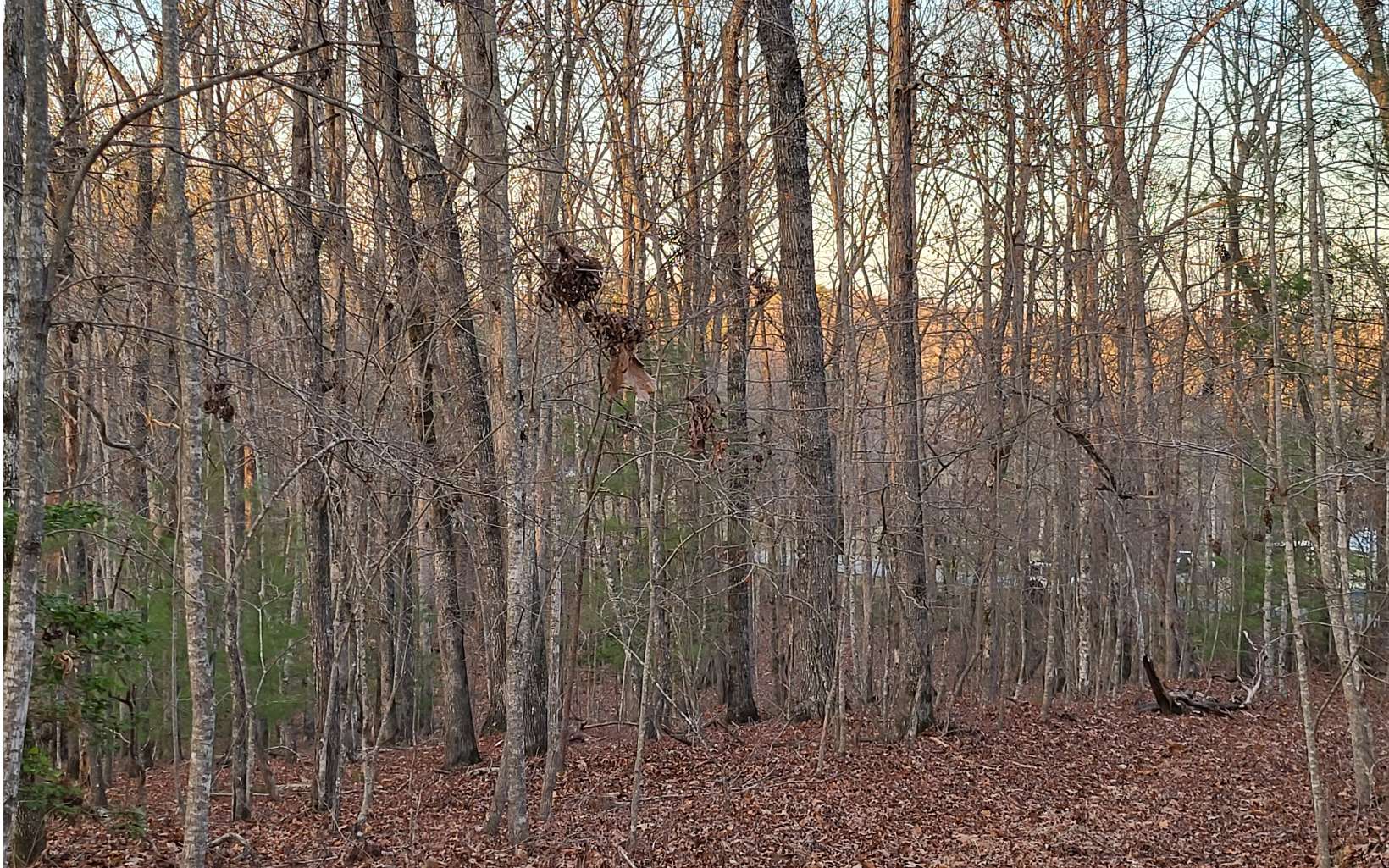 45-acs New Hope Road Morganton, GA 30560 - Photo 48 of 72 Additional View