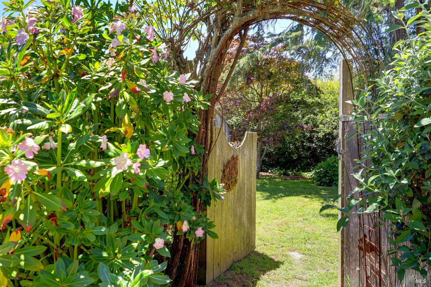 385 Cedar Road Bolinas, CA 94924 - Photo 48 of 70