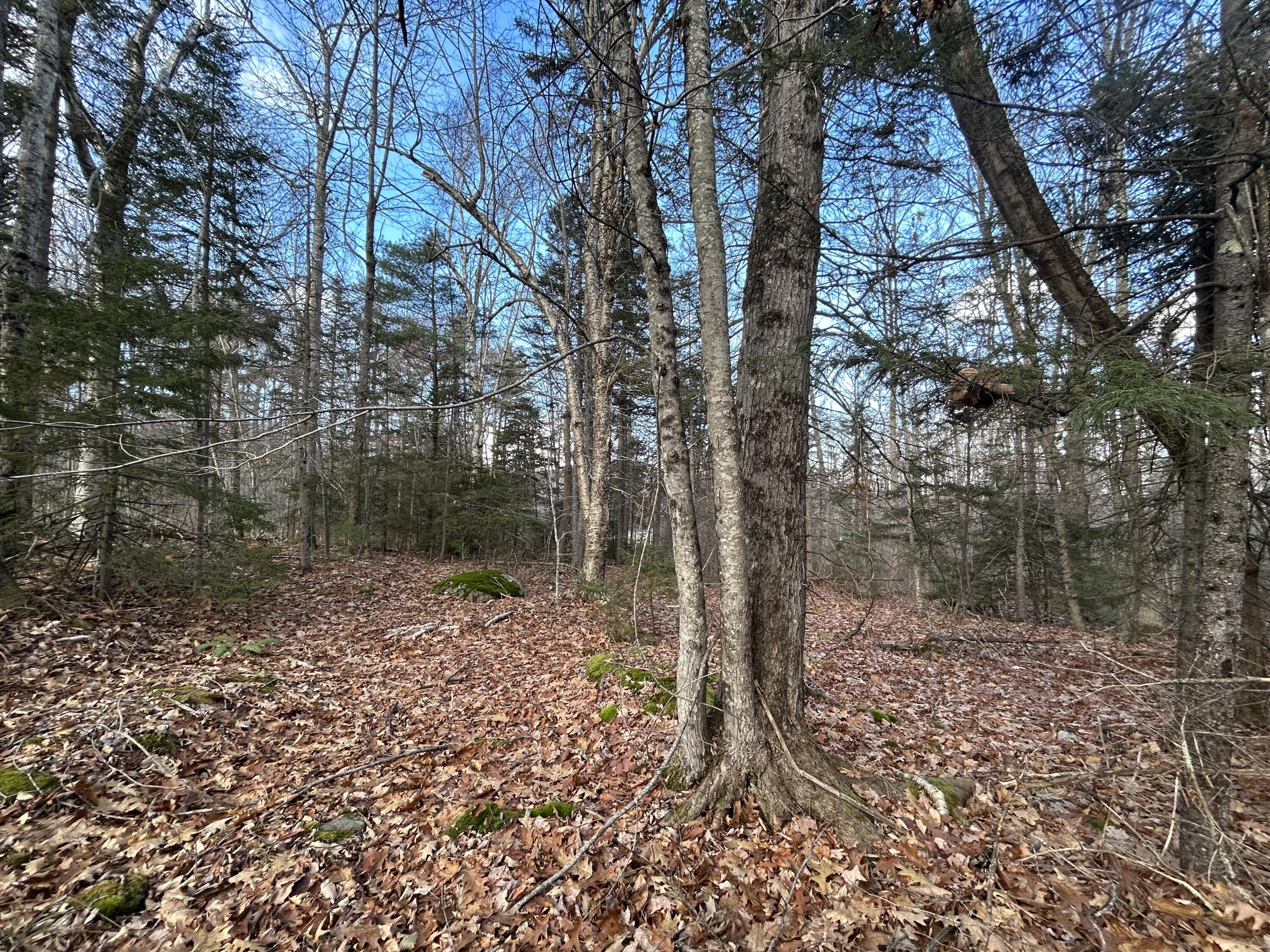 M26-l46a Bull Hill Road Hope, ME 04847 - Photo 4 of 4 IMG_6634