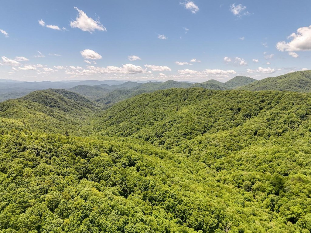 779 Grindstone Road Murphy, NC 28906 - Photo 12 of 18