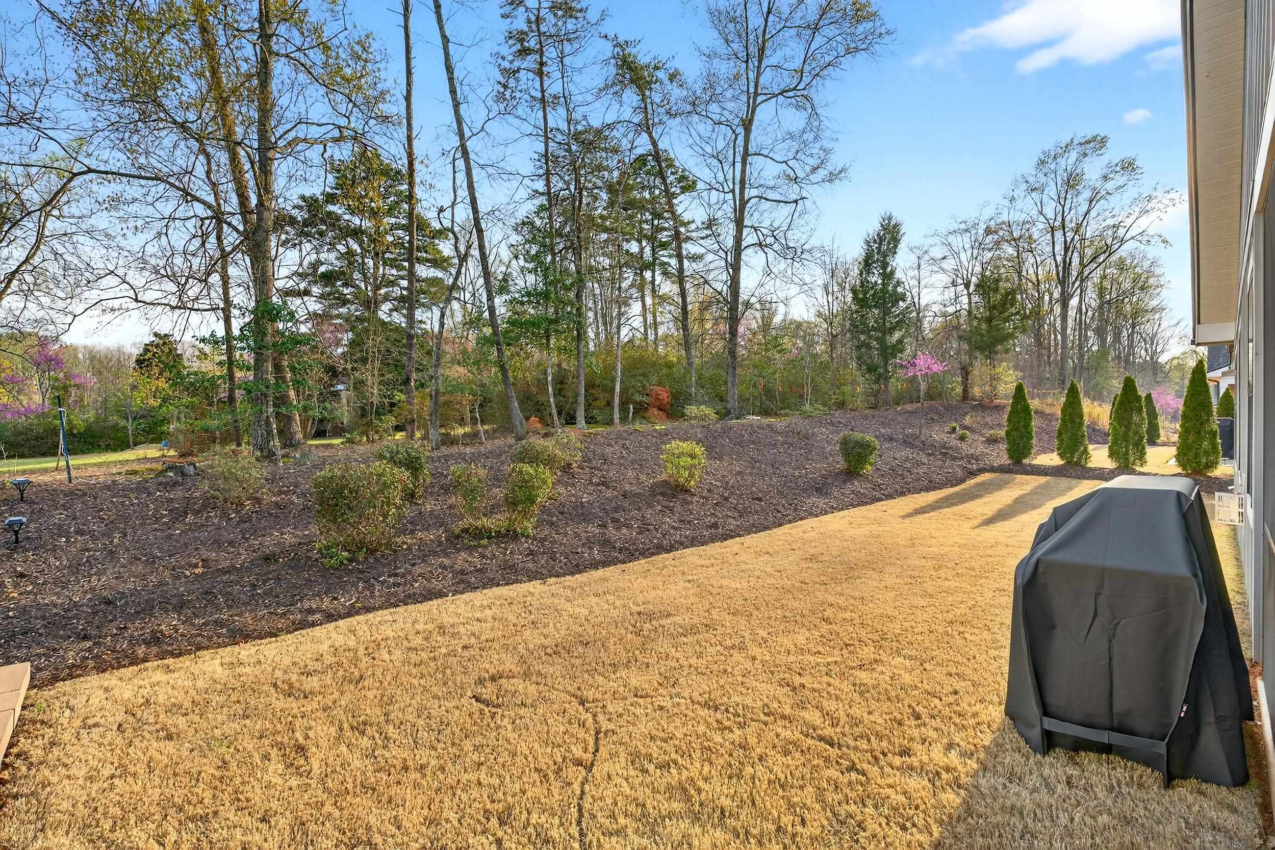 439 Brunswick Lane Inman, SC 29349 - Photo 34 of 46
