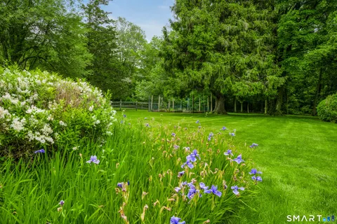 a view of a big yard with plants and large trees