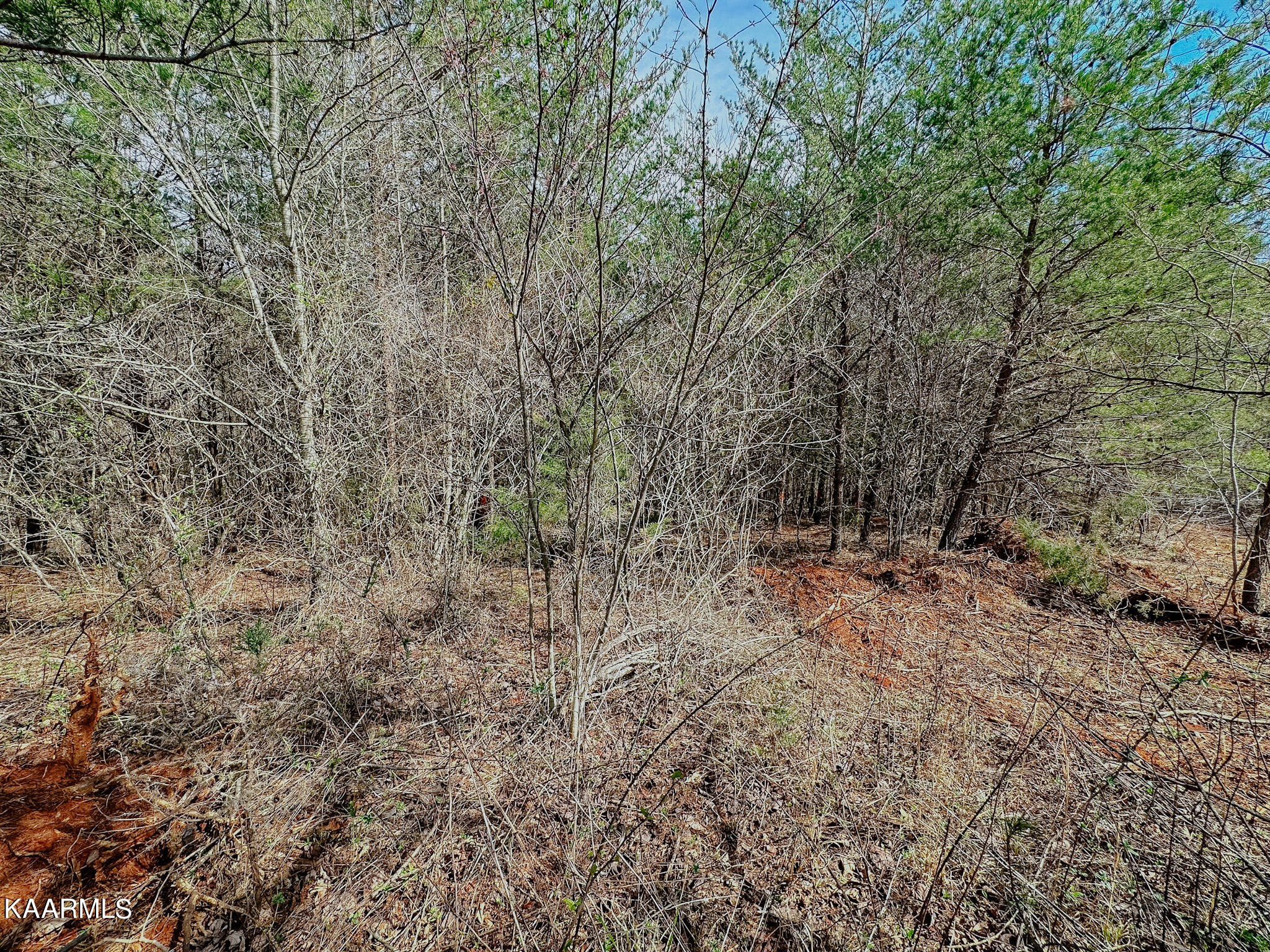 184 Wright Road Madisonville, TN 37354 - Photo 40 of 52 Gallery Image 40
