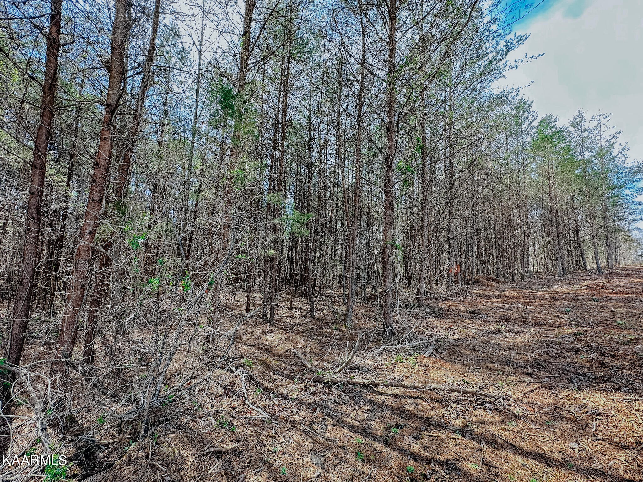 184 Wright Road Madisonville, TN 37354 - Photo 43 of 52 Gallery Image 43