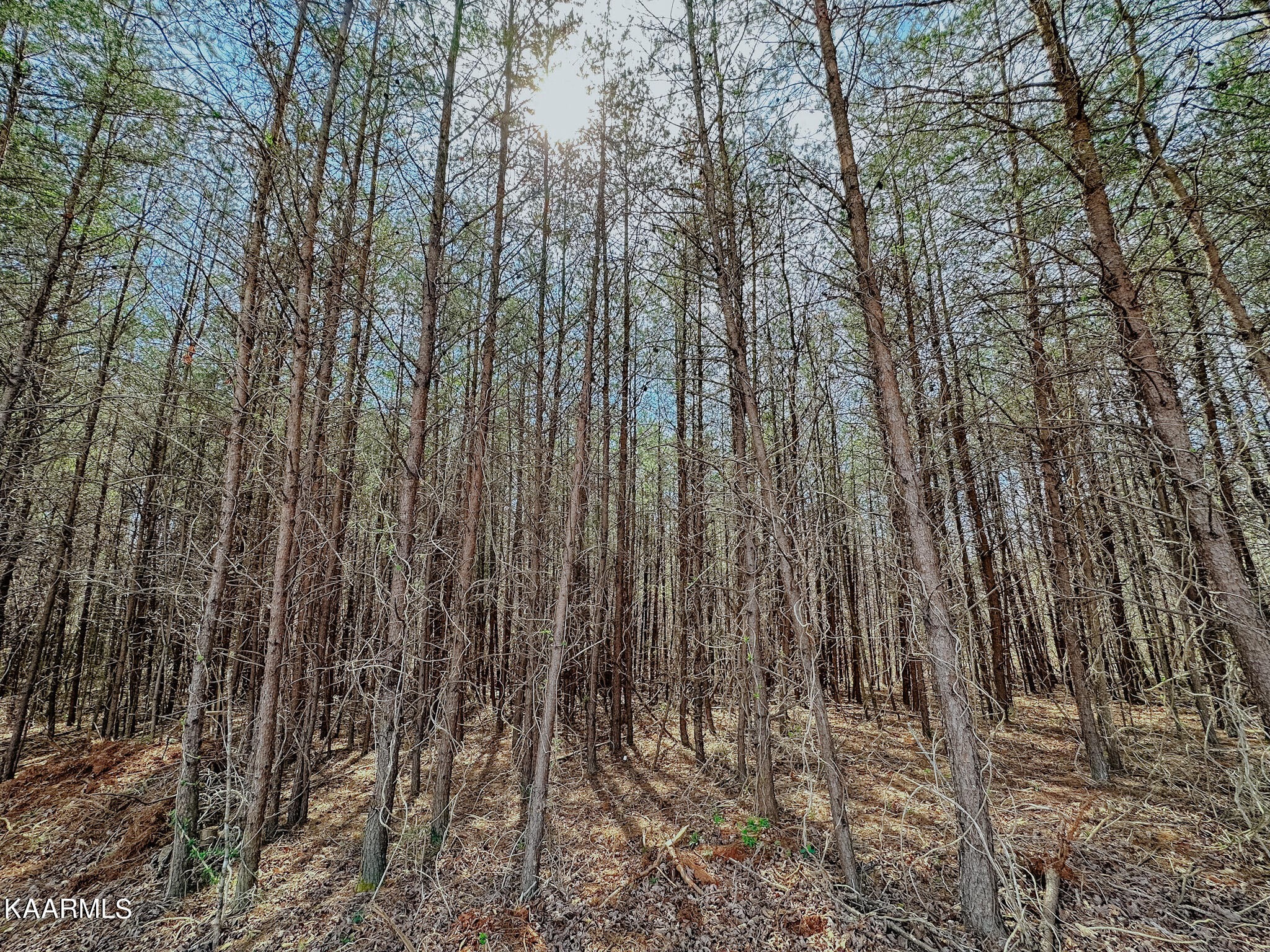 184 Wright Road Madisonville, TN 37354 - Photo 46 of 52 Gallery Image 46