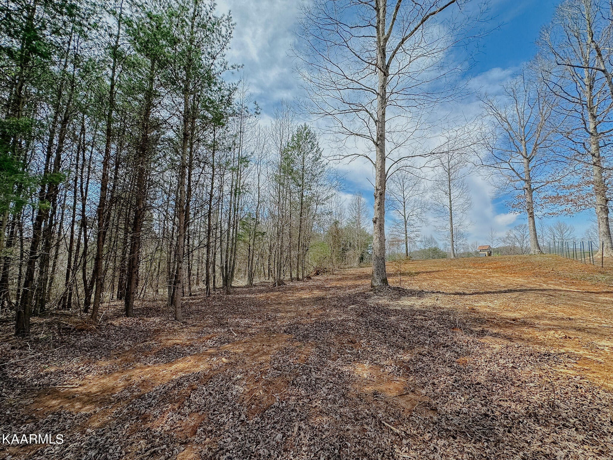 184 Wright Road Madisonville, TN 37354 - Photo 47 of 52 Gallery Image 47
