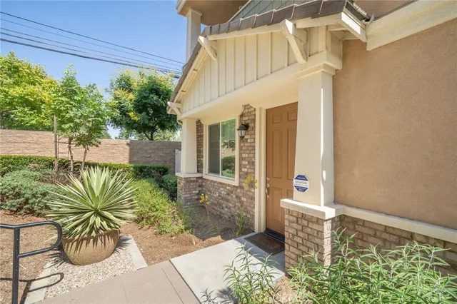 a view of a backyard with plants