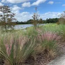a view of a lake with a big yard