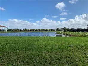 a view of a yard