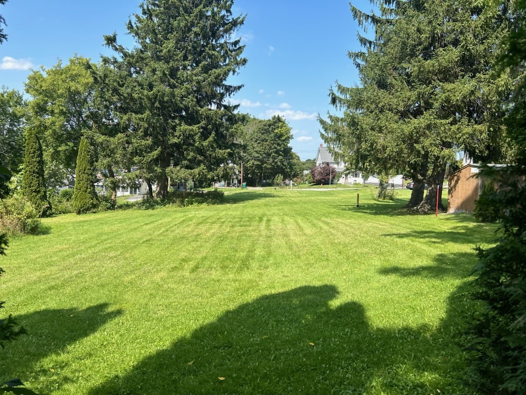 8 Callahan Street Perry, NY 14530 - Photo 2 of 6 From the back of the lower lot toward Dolbeer