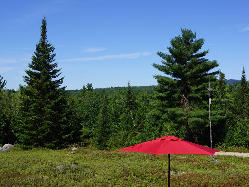 7 Middle Road Cherryfield, ME 04622 - Photo 3 of 41 DSC04625